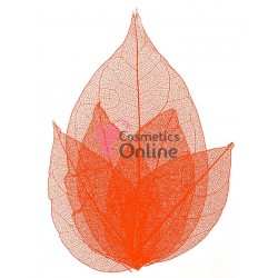 Frunze naturale uscate 4 bucati, Red